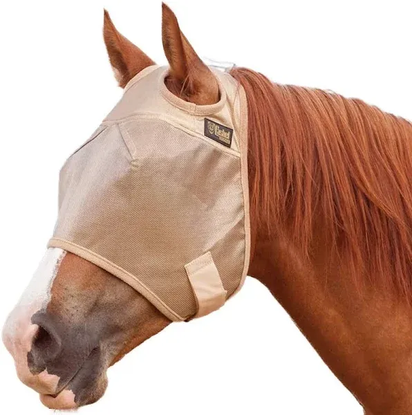 Cashel Econo Fly Mask