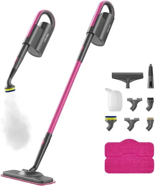 Schenley Steam Mop 