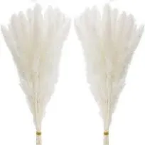 60 Pcs White Pampas Grass Branches Decor for Home Kitchen Garden Party Photographing Flower Arrangement