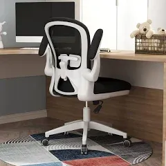 Apusen Ergonomic Home Office Desk Chairs