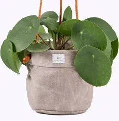 Waxed Canvas Handmade Hanging Planter for Standard 6&#034; Forest Green