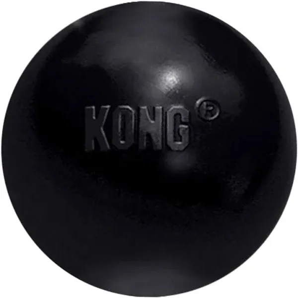 KONG Dog Toy Extreme Ball