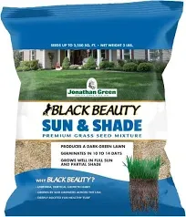 Jonathan Green (12002) Black Beauty Sun & Shade Grass Seed - Cool Season Lawn Seed (3 lb)