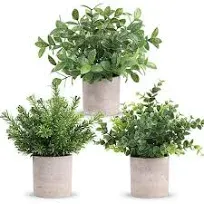 Winlyn Set of 3 Mini Potted Artificial Eucalyptus Plants Plastic Fake Green Rosemary Plant for Home Decor Office Desk Sh