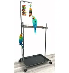 Mcage 65.5 inch X-Large Parrot Stand Bird Play Stand Parrot Playstand Parrot ...