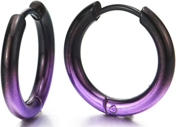 Stainless Steel Huggie Hinged Hoop Earrings