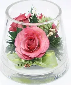 Fiora Flower | Long Lasting Roses in a Sealed Glass Vase | Fresh Cut Roses – Preserved Roses| Unique Present Gift (Small Cylinder)