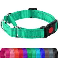 Martingale Collar for Dogs