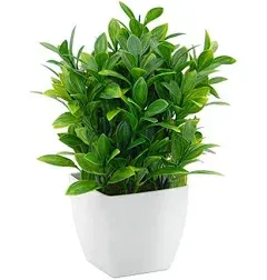 OFFIDIX Artificial Eucalyptus Plants