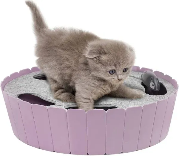 Electric Rotating Teaser Cat Toy