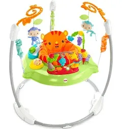 New Fisher-Price Baby Bouncer Pink Petals Jumperoo Activity Center