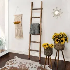 Black Wood Decorative Ladder