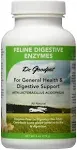 Dr. Goodpet - Digestive Enzymes, Enzyme Feline 4 oz