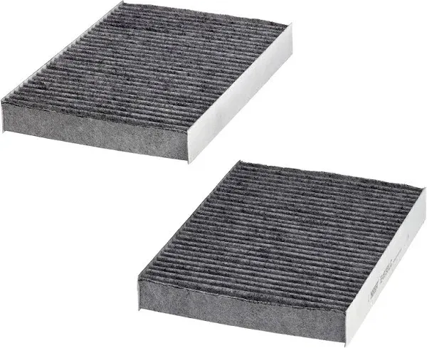 Hengst E4938LC-2 Front Carbon Activated Cabin Air Filter