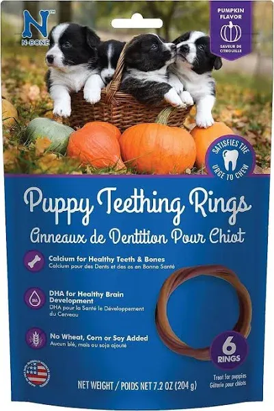 N-Bone Puppy Teething Rings Pumpkin Flavor