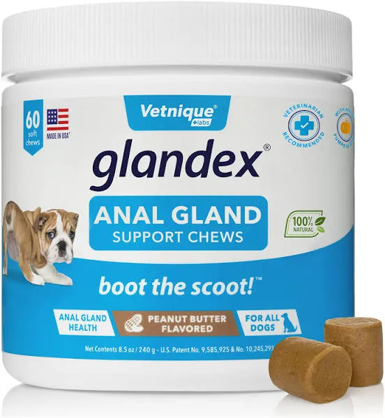 Glandex Anal Gland Soft Chew Treats with Pumpkin for Dogs - Digestive Enzymes, P