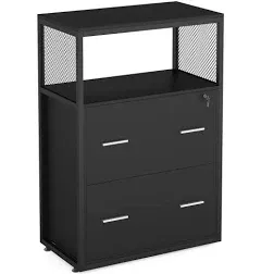 2 Drawer Lateral File Cabinet with Lock, Filing Cabinet Printer Stand,Legal/Letter / A4 Size