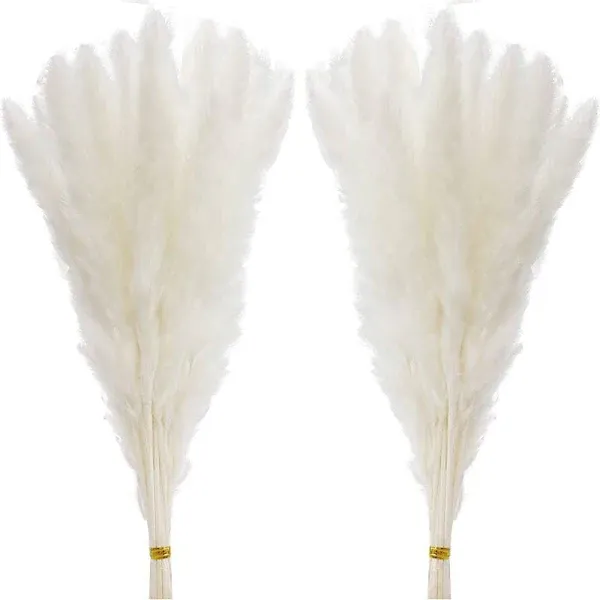 60 Pcs White Pampas Grass ,17 inch/45 cm Natural Dried Pampas Grass Branches Decor for Home Kitchen Garden Party Photographing Flower Arrangement Vase Decor（White