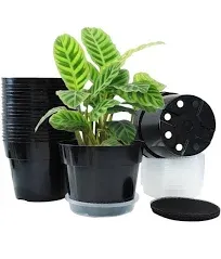 RooTrimmer 20 Pack 6 Inch Plant Pots