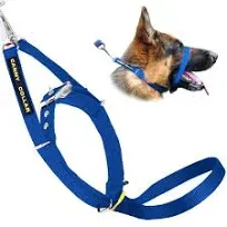 Canny Collar Dog Head Collar