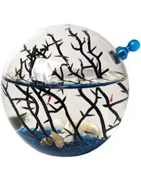 Shrimp Ecosphere