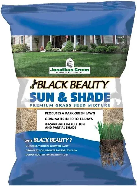 Jonathan Green Black Beauty Sun Shade Grass Seed