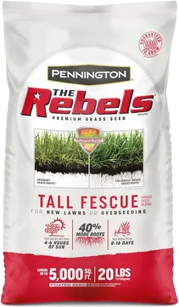 Pennington Rebels Tall Fescue Grass Seed