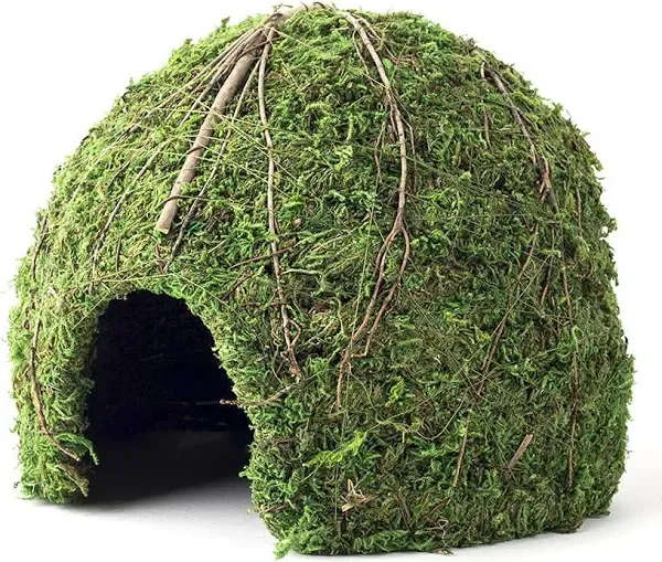 Galapagos Mossy Dome Terrarium Hideaway