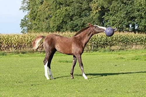  10&#034; Horse Jolly Ball Purple