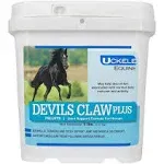 Uckele Health & Nutrition - Devils Claw Plus Pellet - Natural - 5 lb