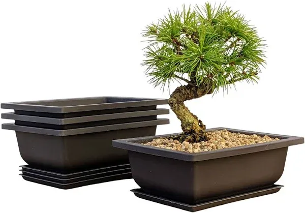 Tinyroots Bonsai Training Pots with Humidity Trays - Built in Mesh, 6&#034; and 8&#034; La