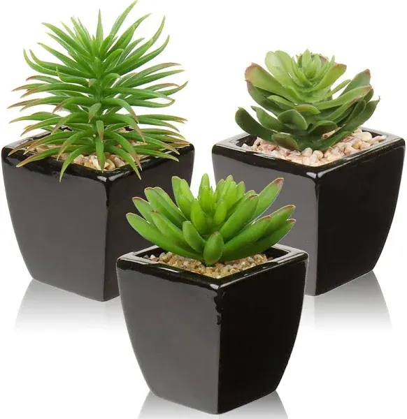 Small Succulents Artificial 3 Pcs Faux Succulents in Pots Fake Succulent Plan...