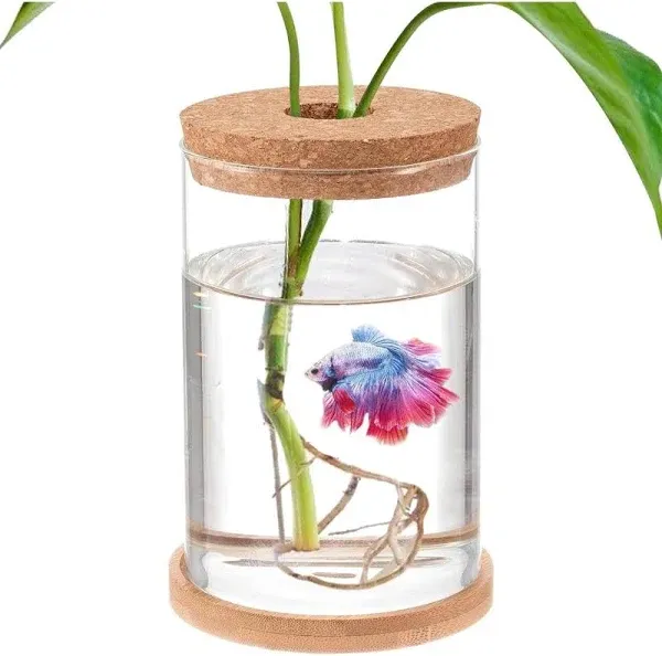 Desktop Fish Bowl Glass- Small Betta Fish Tank with Lid, Clear Hydroponic Plant Propagation Station for Home Office, Christmas Plant Lovers Gifts for Women Mom (Straight-Shaped, 4.7" x 6.7")