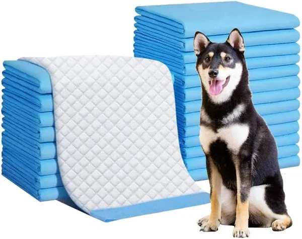 KAPAS 150 Count Medium ( M 30" X 36") Super Absorbent Dog and Puppy Training Pads, Pet Diaper Pee Pads