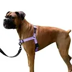  Dream Walk No-Pull Dog Harness- Adjustable, Comfortable, Easy Medium Icy Lilac