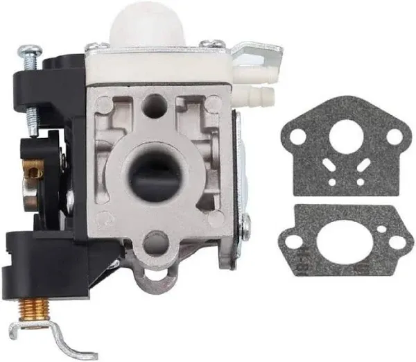 Carburetor For Echo ES-250 PB-250LN RB-K106 A021003660 A021003661 GCA60