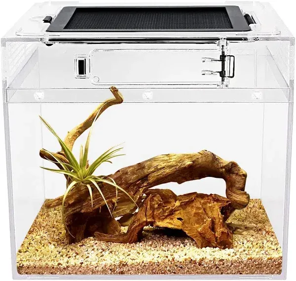 Mini Reptile Terrarium,8&#034; x 8&#034;x 8&#034; Reptile Tank with Full View Visually Dragon