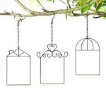 MIXXIDEA 3 Pack Hummingbird Swing with Wooden Dowel