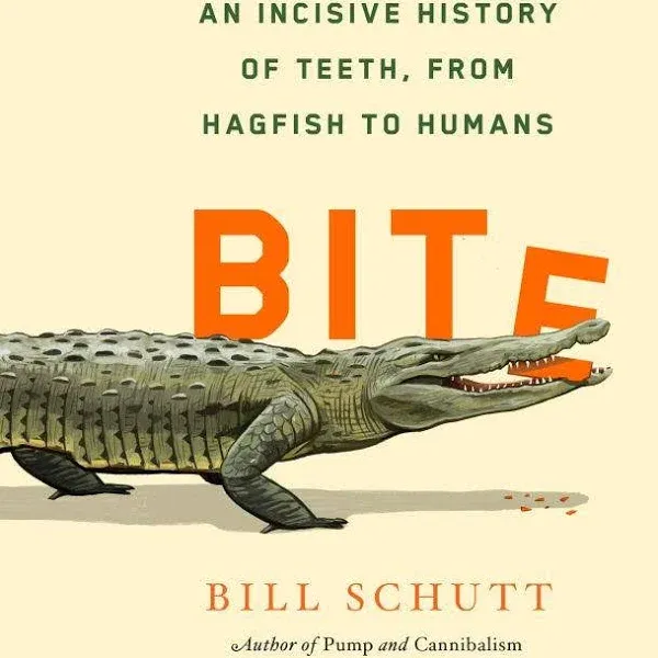 Bite