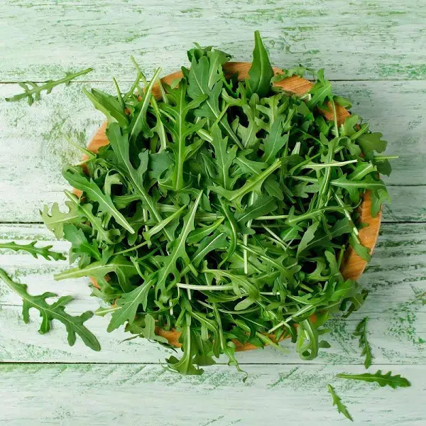 Eden Brothers Arugula Seeds Wild Rocket