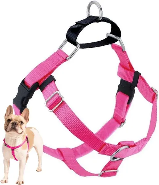 2 Hounds Design Freedom No- Pull Dog Harness