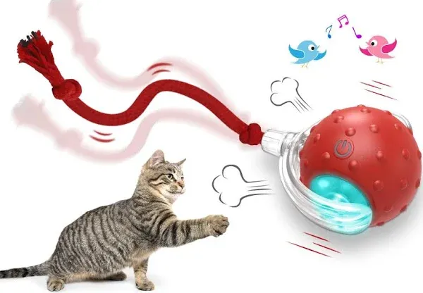 Interactive Cat Toys Ball for Indoor Cats Fast Rolling on Carpet, Chirping &amp; Mot