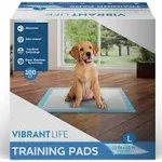 Pet All Star Training Pads