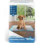 Pet All Star Training Pads, 50 Count 22" x 22"