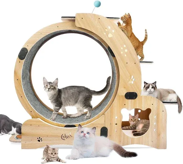 Cat Wheel 6-in-1 Cat Exercise Wheel,Upgraded Cat Wheel Exerciser for Indoor Cats,Large Cat Treadmill,Cat Running Wheel with Silent Wheel,Cats Loss Weight Device (Wood)