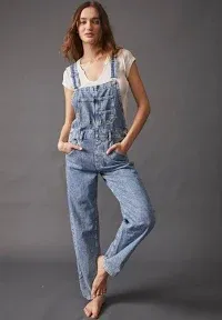 We The Free Ziggy Denim Overalls