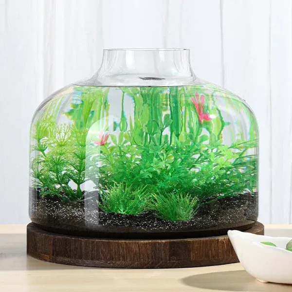 PONDON 1.3 Gallon Fish Bowl Vase, Glass Plant Terrarium Kit, Complete with Wooden Base and Water Changer