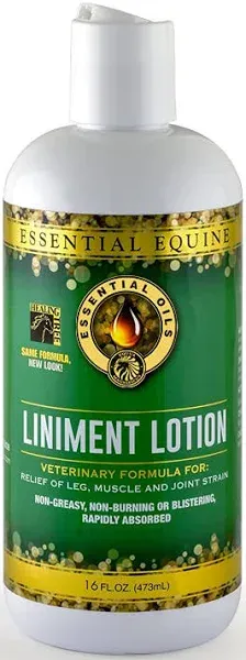 Liniment Lotion/473 ml 16 Oz By Essential Equine