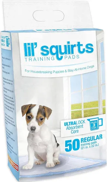 Ruffin It Lil' Squirts Training Pads