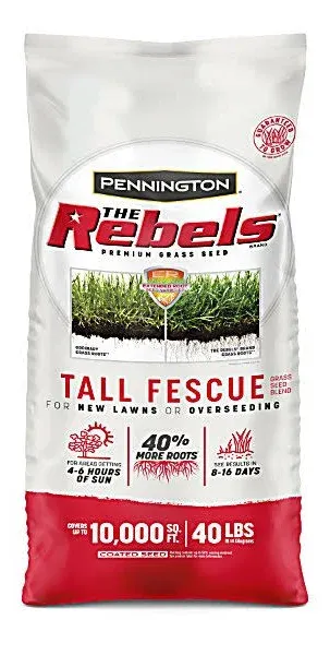 Pennington Rebel Tall Fescue Grass Seed